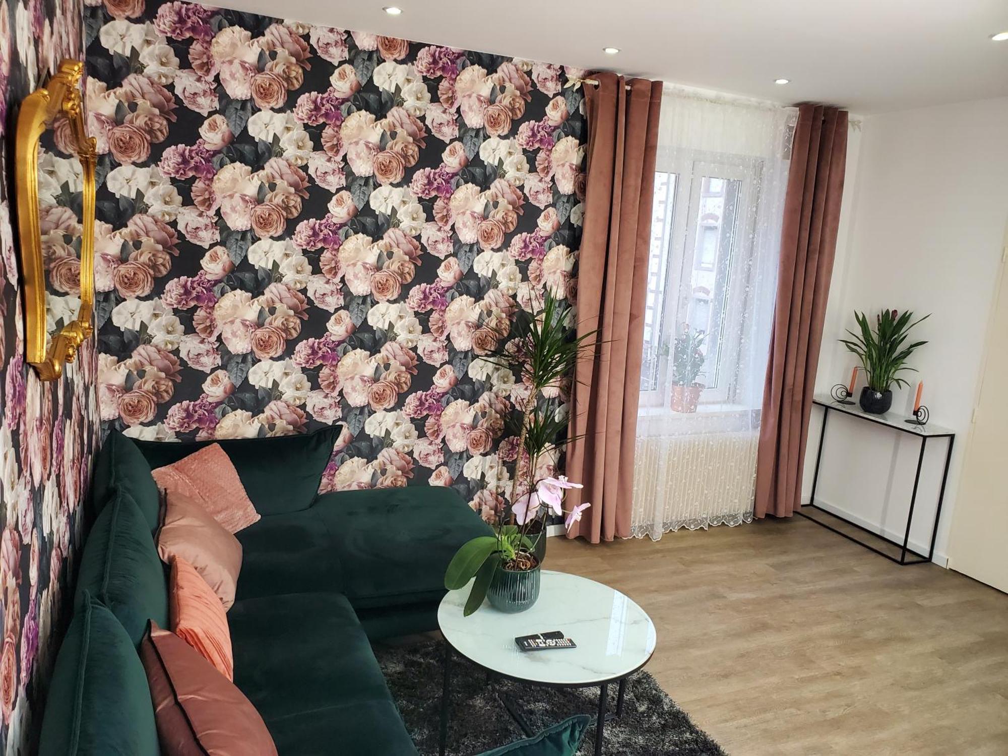 Mirka & Franck Apartment Chic 4 Stars Parking Free Colmar Dış mekan fotoğraf