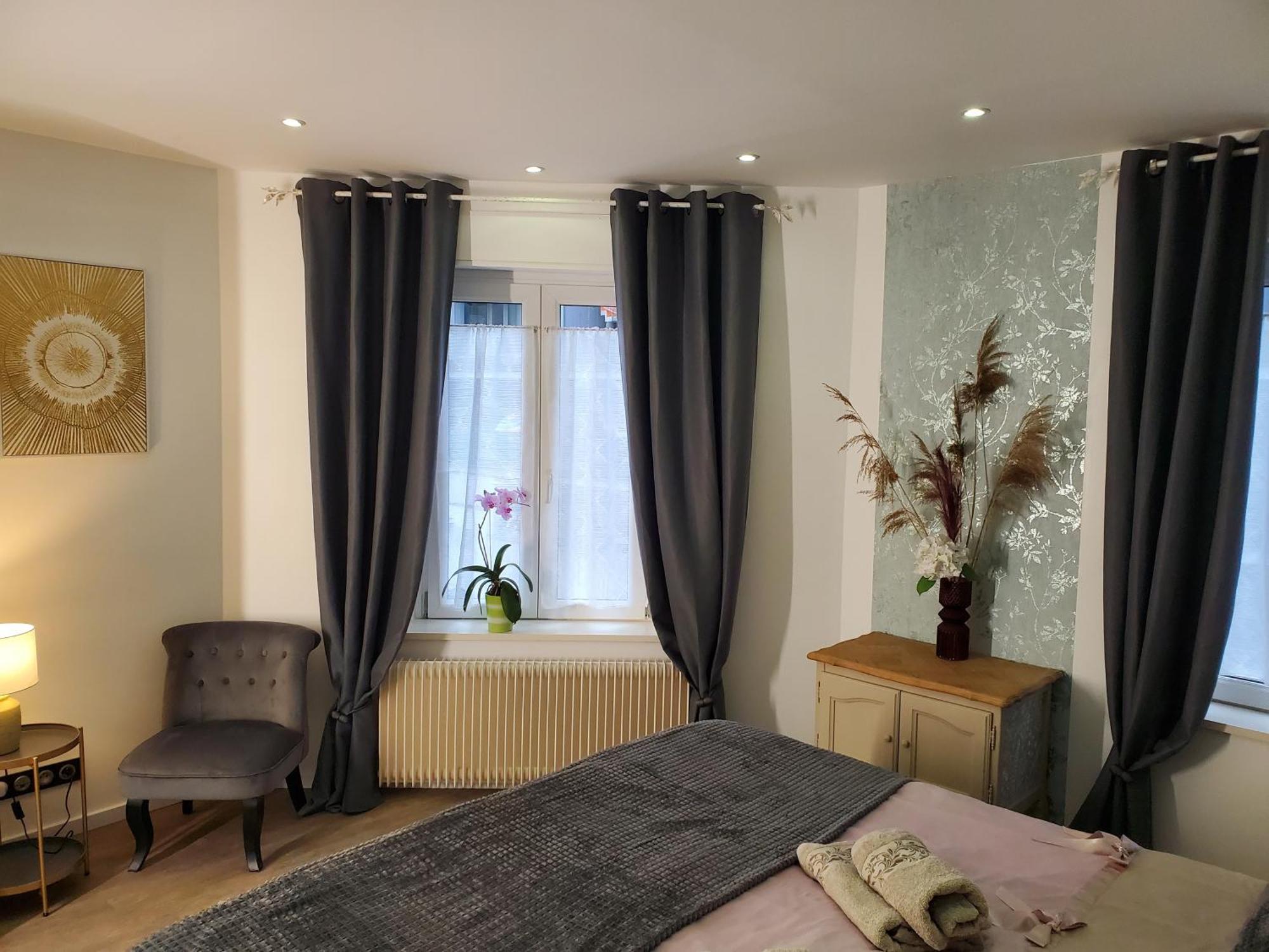 Mirka & Franck Apartment Chic 4 Stars Parking Free Colmar Dış mekan fotoğraf